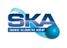 SKA logo